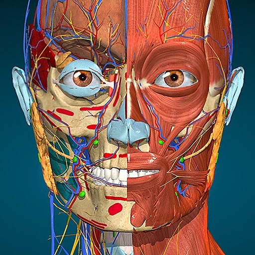 Anatomy Learning – 3D Anatomy4,6star pentru Android | iOS