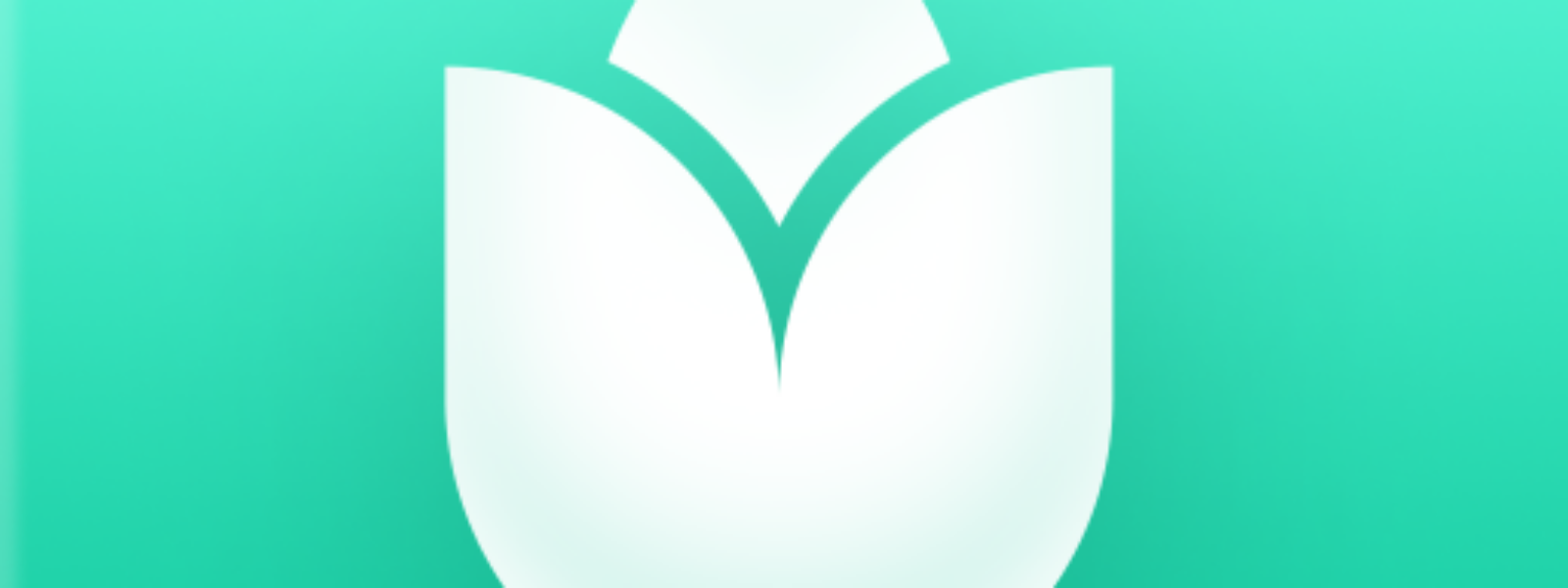 PlantIn: Plant Identification4,6star pentru Android | iOS